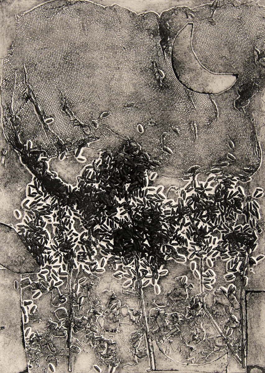 14.- noche 1-aguada-21×29