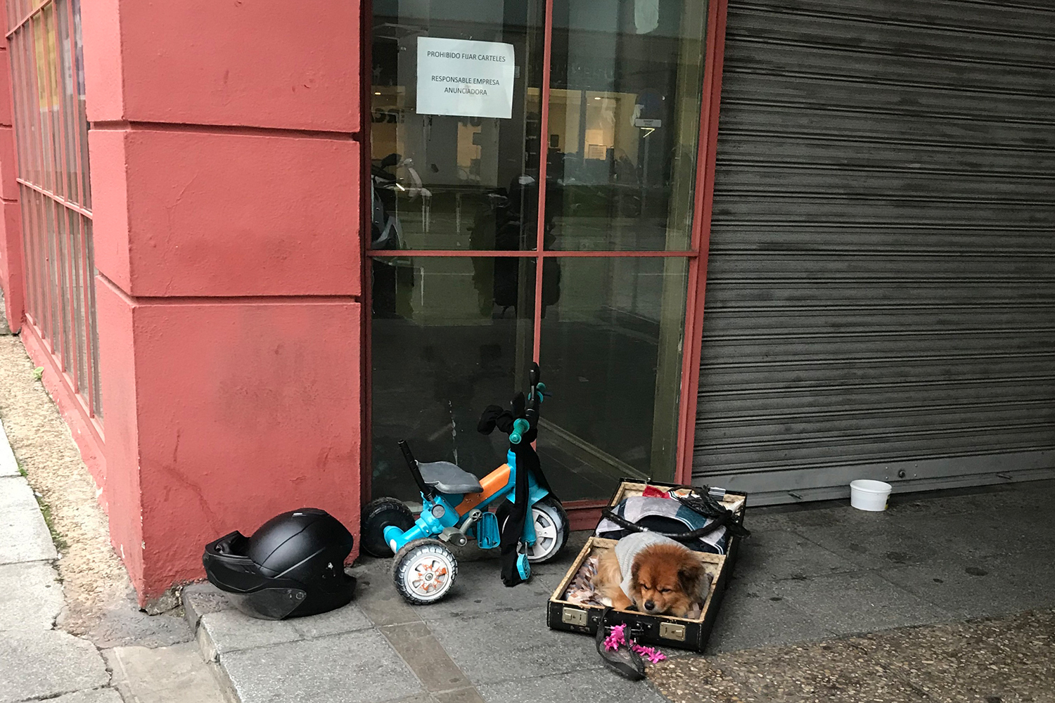 Agustina Pérez Laguna -PIRULO copia