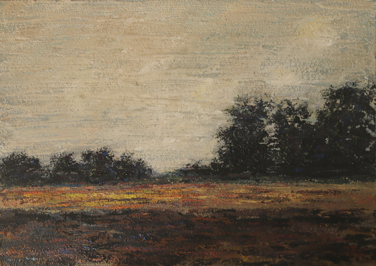 cae la tarde 13- técnica mixta- 70×50-2019