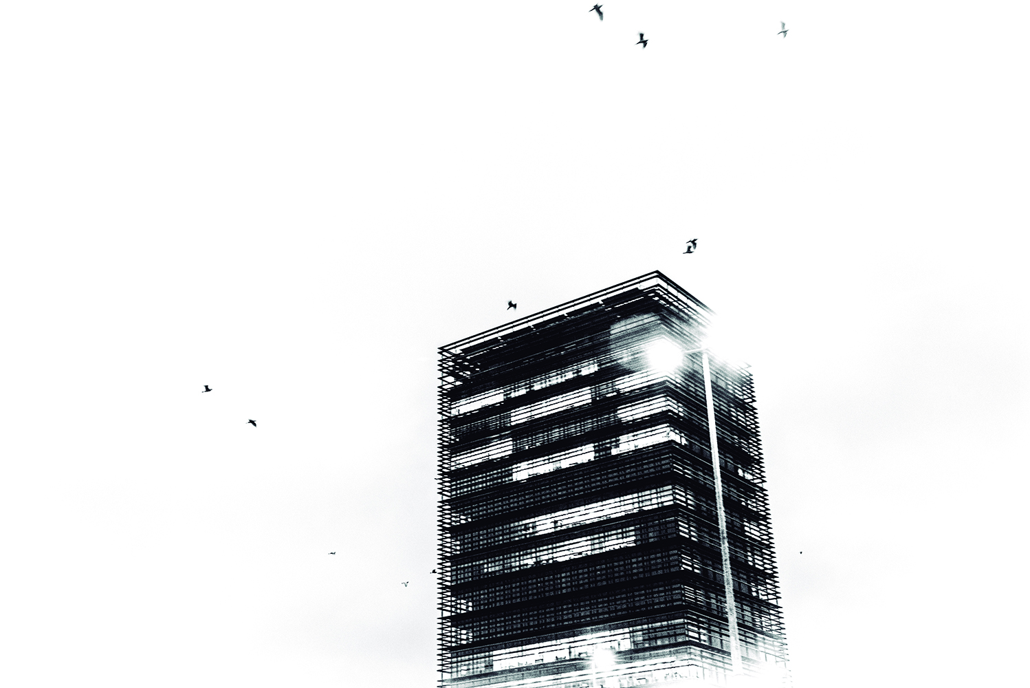 119 – EPÍLOGO 2. Pako Pimienta copia