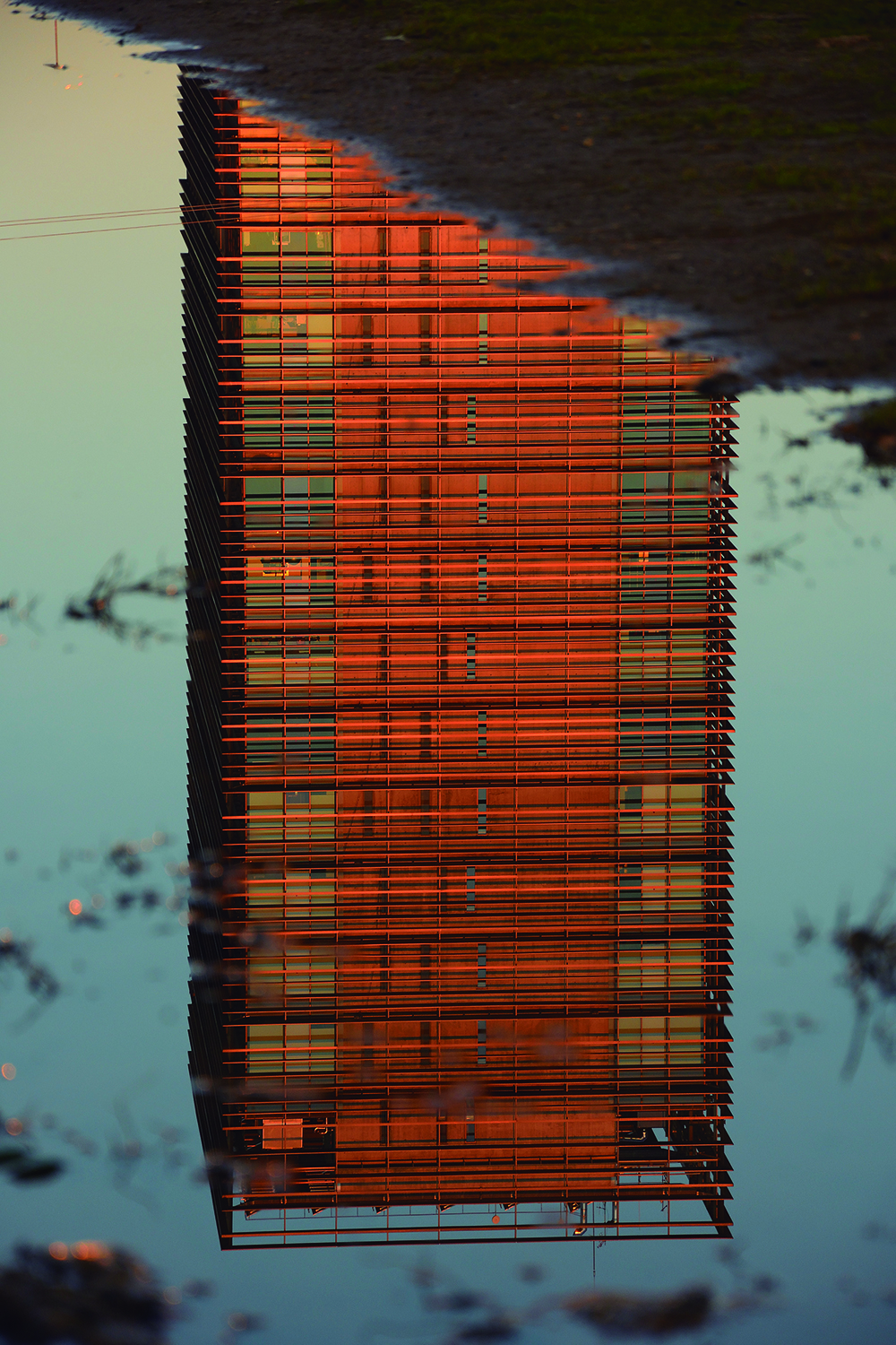 174 – REFLEJO. Manuel Merino Valenzuela copia