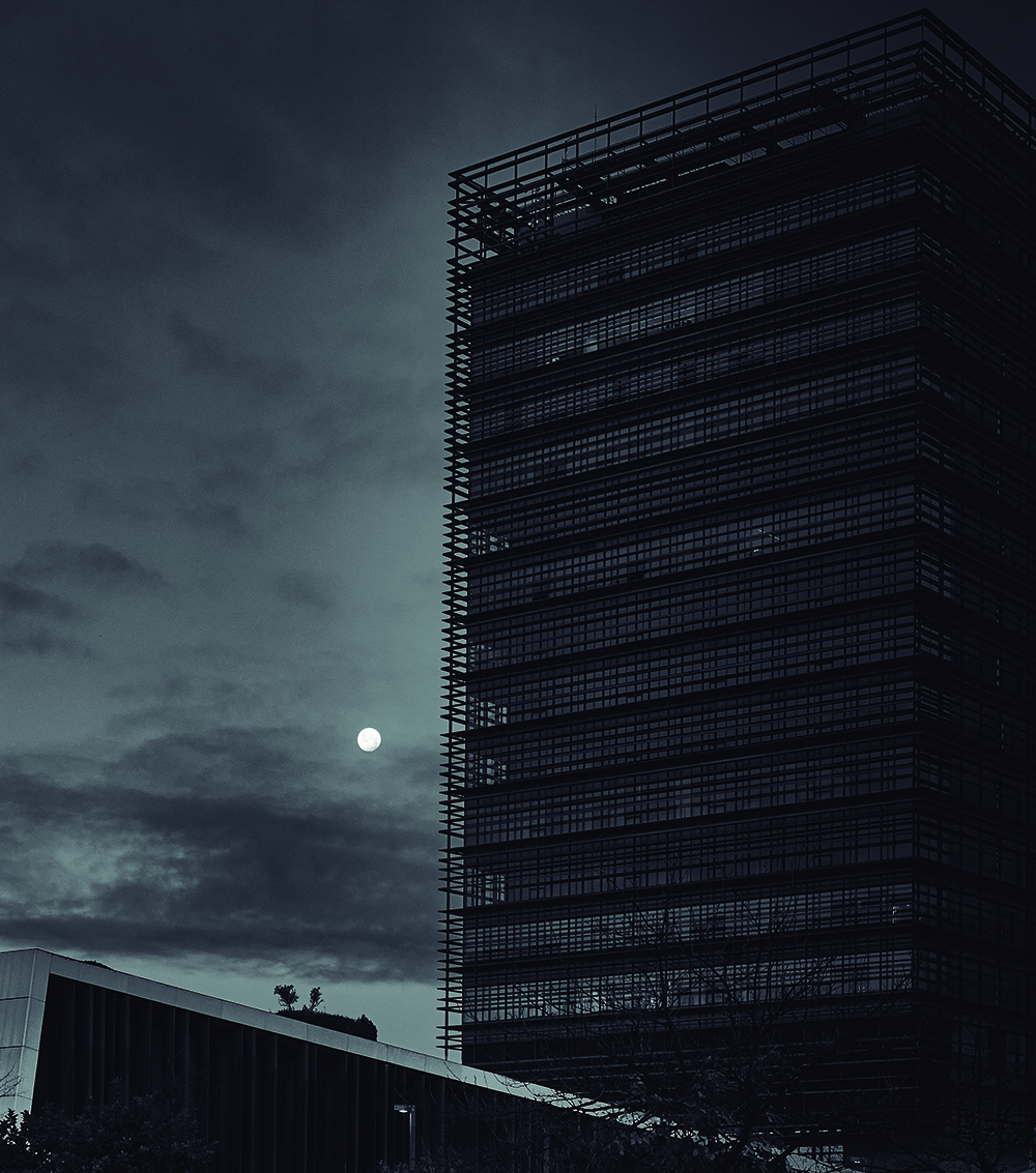 186 – EL LOBO DE IBERCAJA. Fernando Falero Carrasco (3er PREMIO) copia