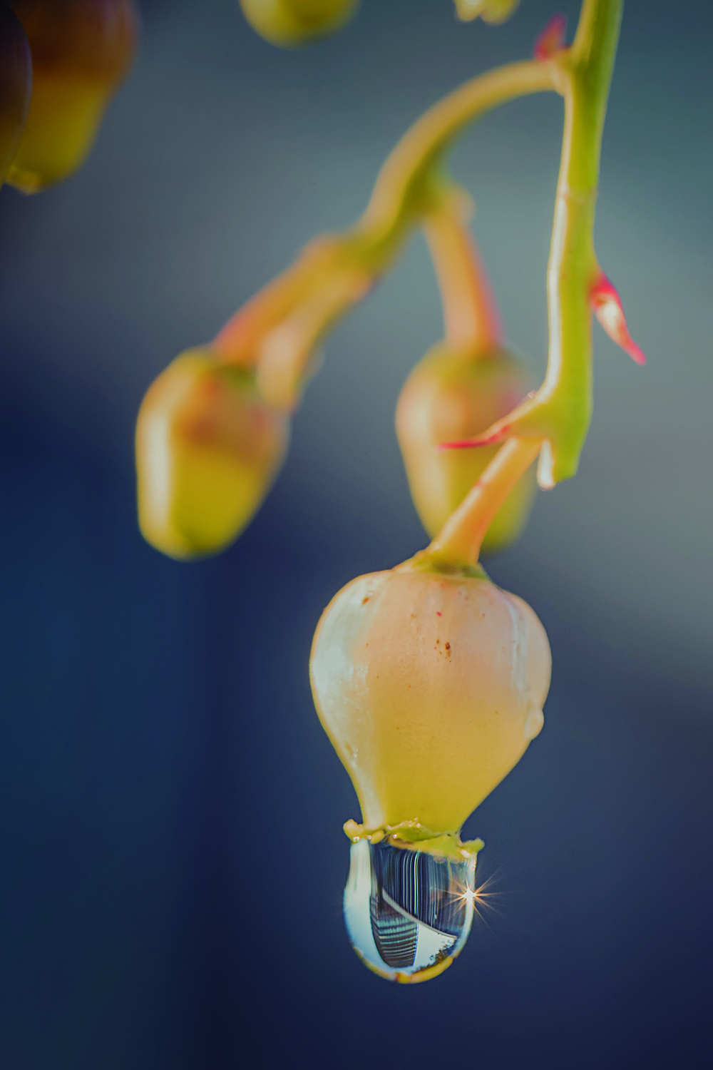 194 – REFLEJO. Miguel Ángel Muñoz Ruiz copia