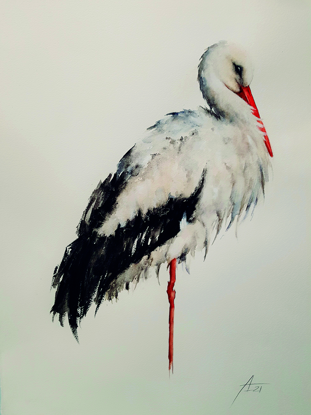 Cigueña Adela copia