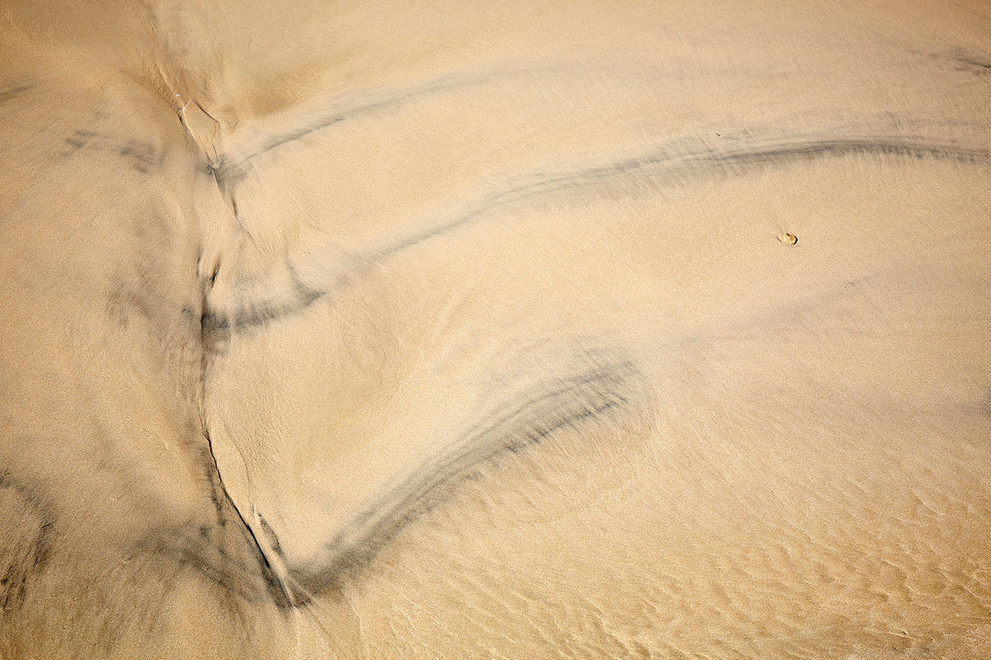 Dialogos con el mar 1 copia