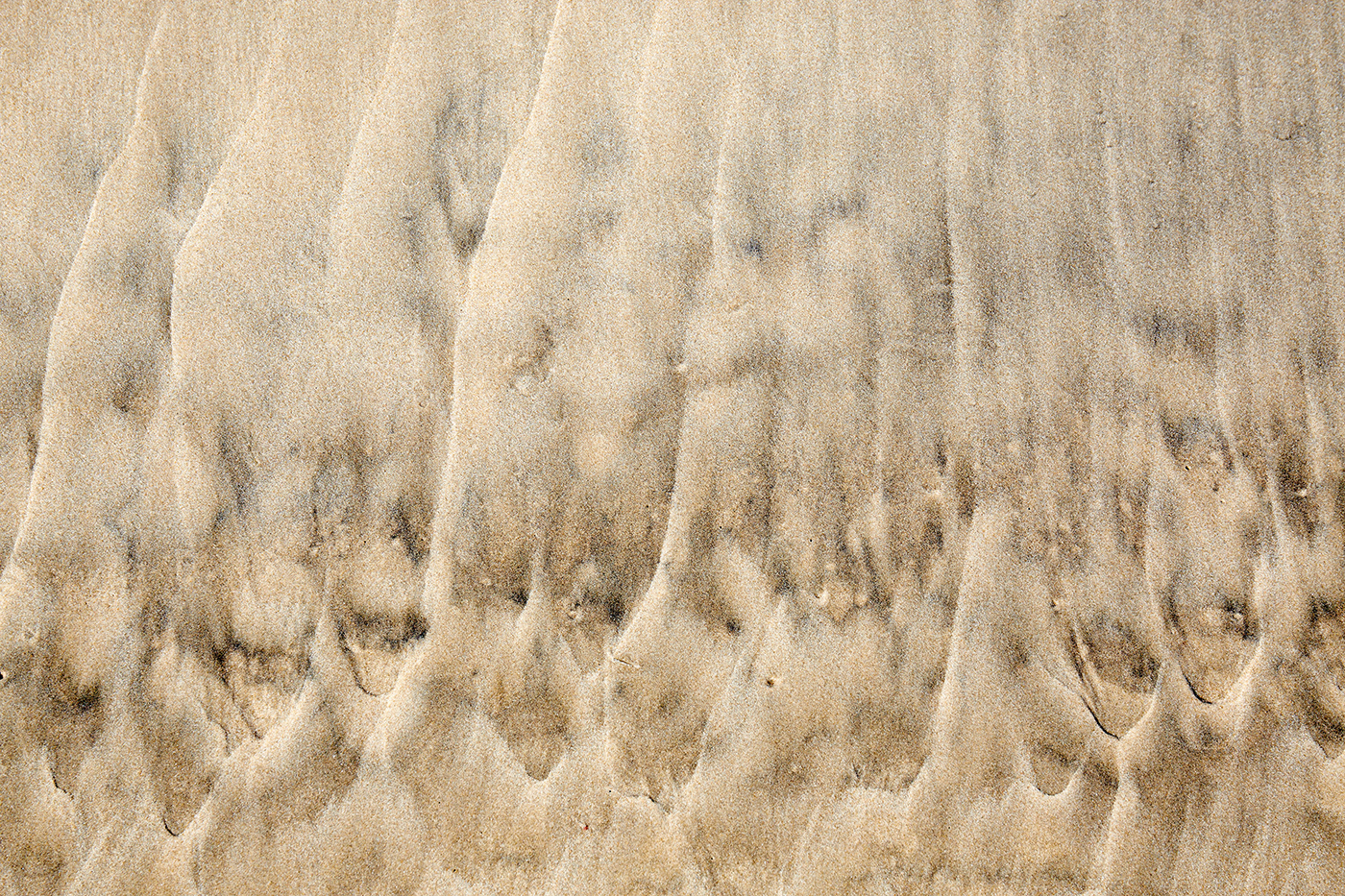 Dialogos con el mar 2 copia