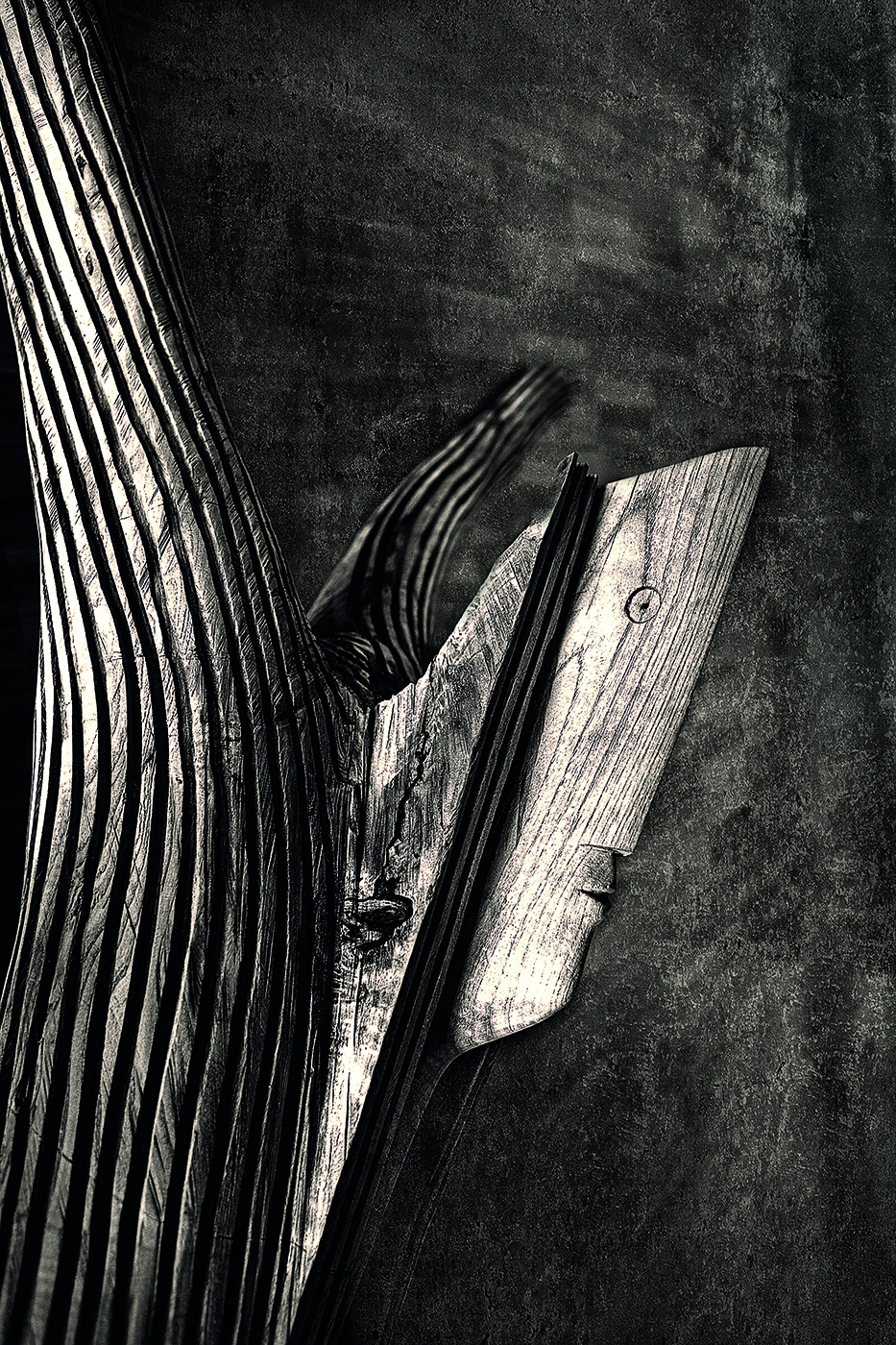 La cruz de la vida 1 copia