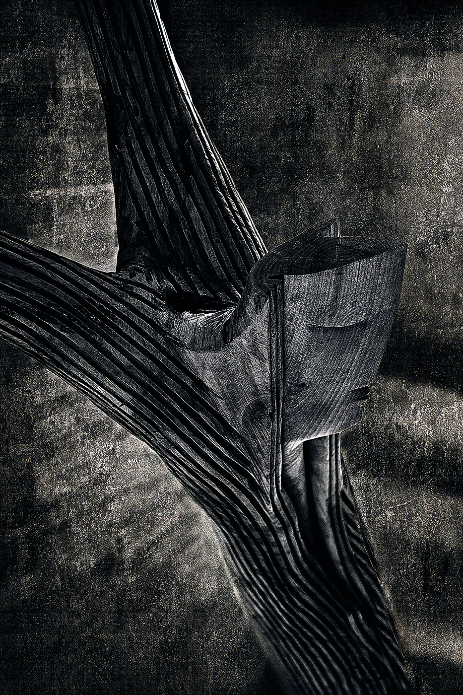 La cruz de la vida 2 copia