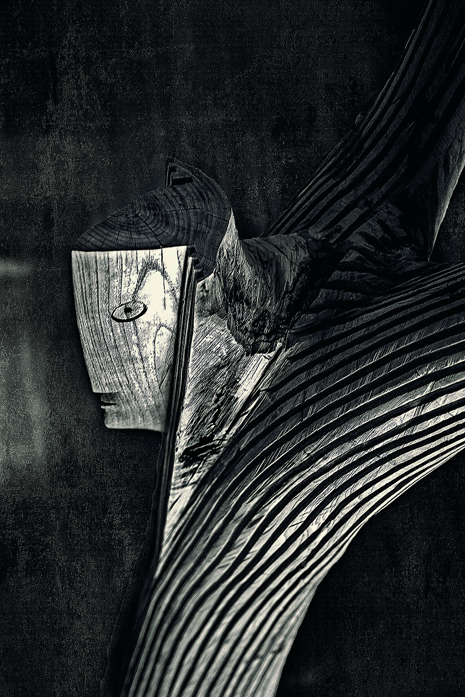 La cruz de la vida 3 copia