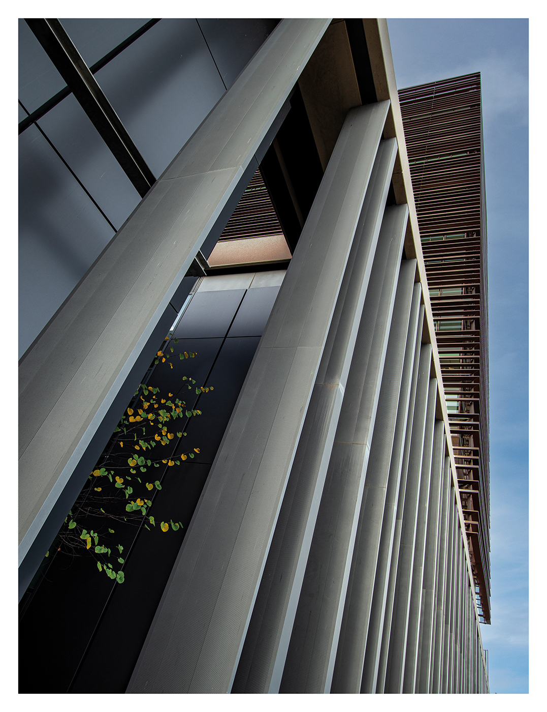 Naturaleza atrapada 1 copia