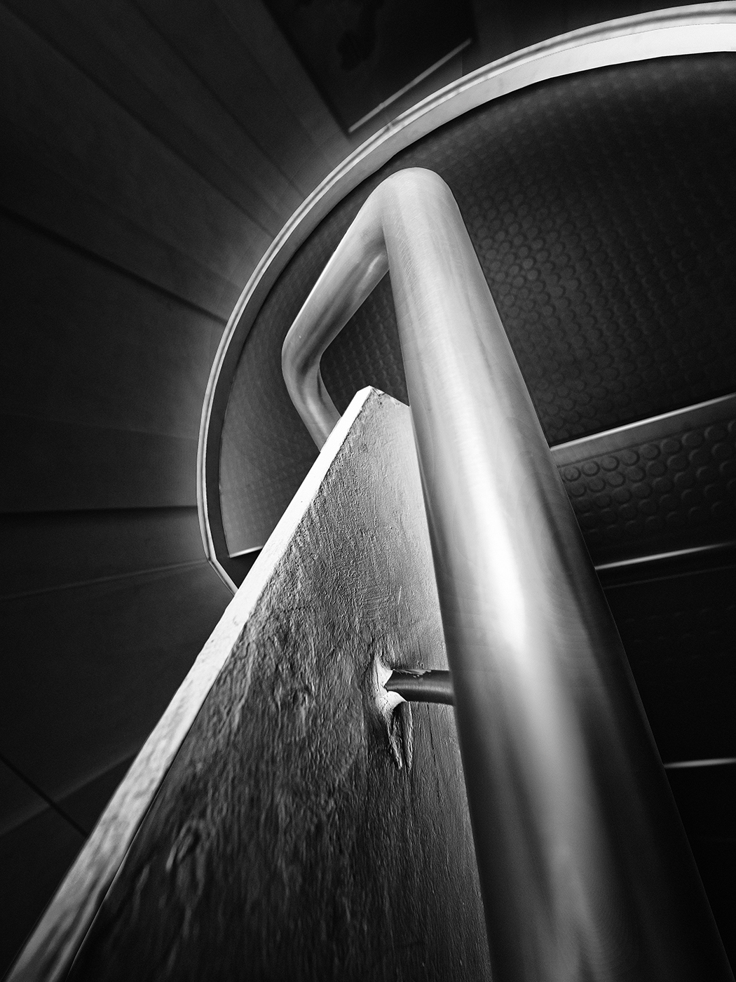 No tocar, serpiente venenosa. Covid 19, 1 copia