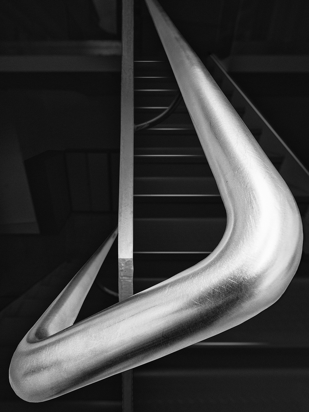 No tocar, serpiente venenosa. Covid 19, 3 copia