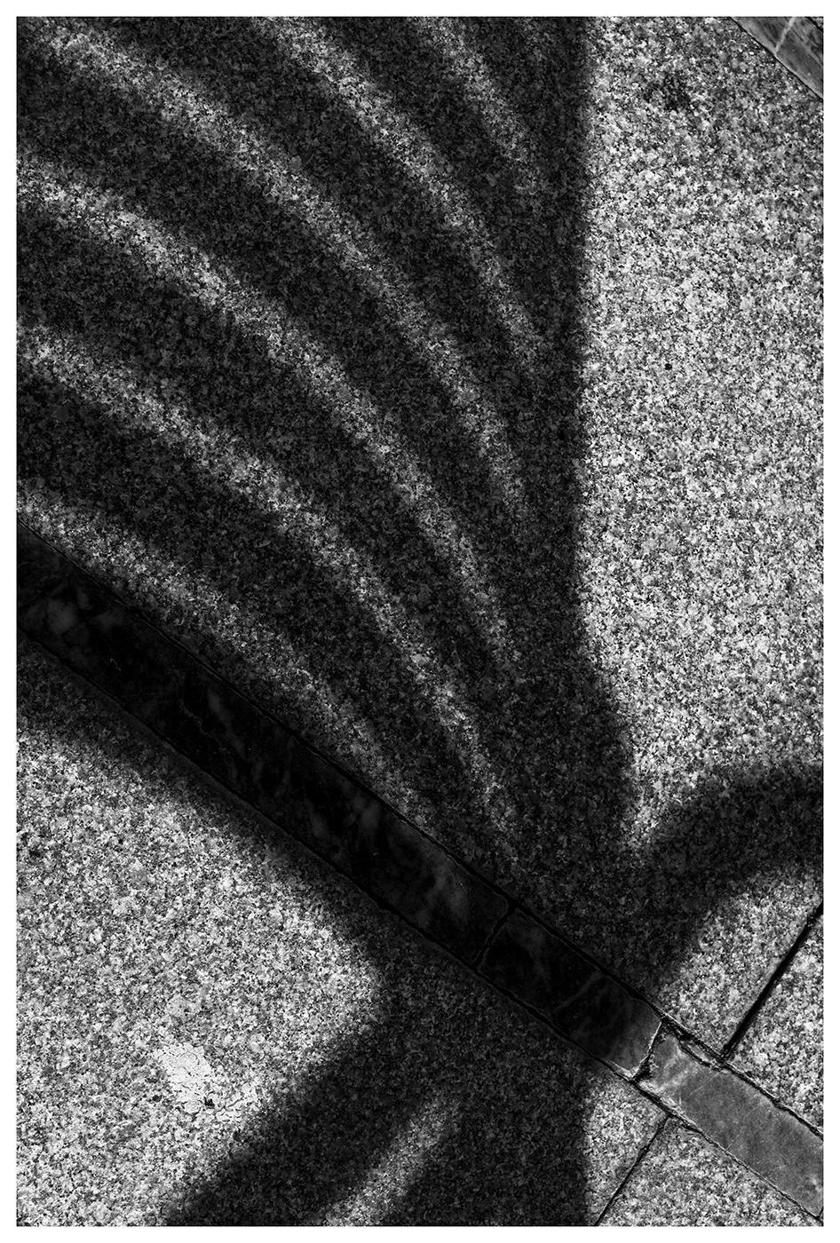 Sombra de velador. 1 copia